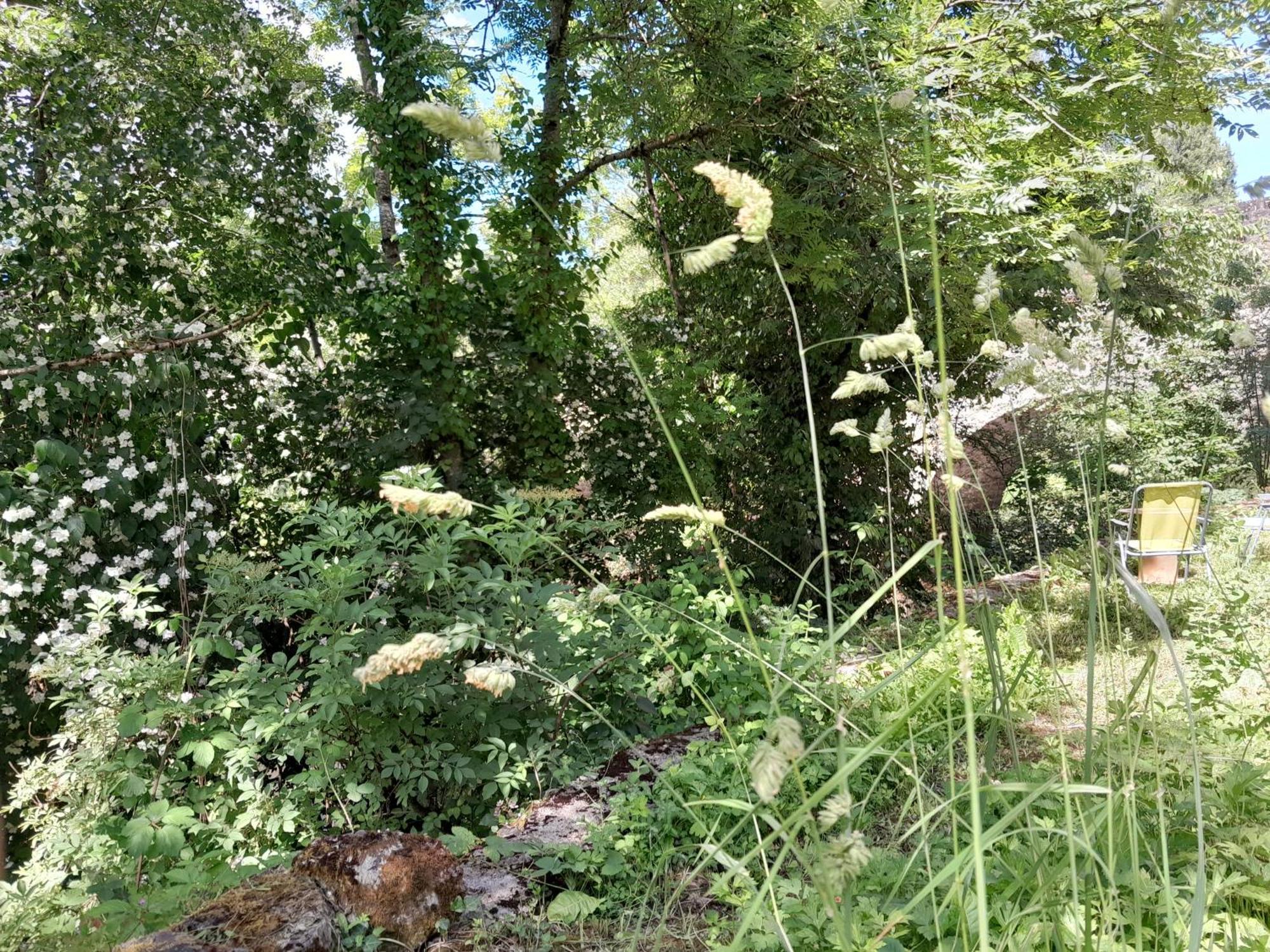 Appartement Privatif En Bord De Riviere Figeac Zewnętrze zdjęcie